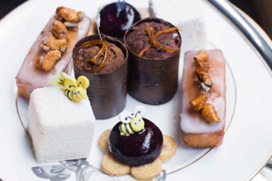 Dolloway Terrace baharın gelişini müjdeliyor