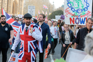 Brexit yanlısı gruplar parlamento önünde gösteri yaptı
