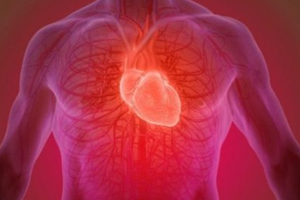 ‘Kalp krizi hasarını onaran yama insanlarda denenecek’