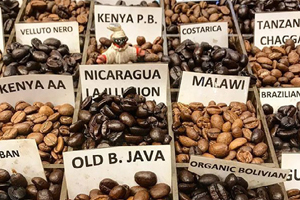 ‘Soho’nun kahvecisinden’ soğuk kahve servisi