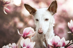Bu Fotoğraf Birinci Seçildi