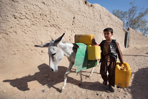 ‘After the Conflict’ adlı sergi Albumen Gallery’de