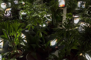 Tate Modern yine önemli bir Sergiye ev sahipliği yapacak ‘Nam June Paik: Gelecek Şimdi’