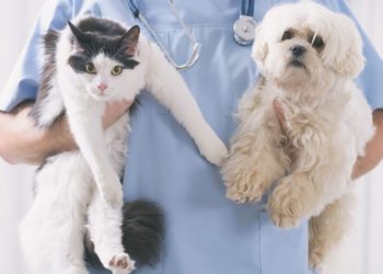 Türkiye’den tarihi galibiyet