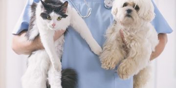 Türkiye’den tarihi galibiyet