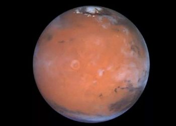 Dev maçta kazanan Fenerbahçe