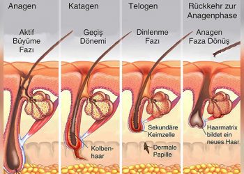 UEFA, tribüne dönüş planında önemli bir adım atmaya hazırlanıyor