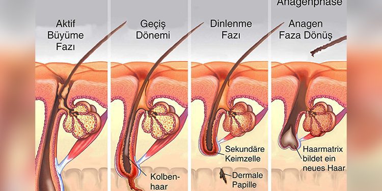 UEFA, tribüne dönüş planında önemli bir adım atmaya hazırlanıyor