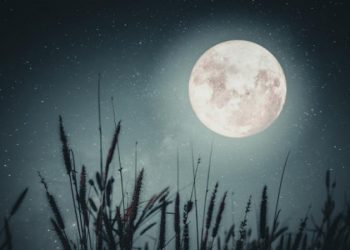 Roger Federer’e ait koleksiyon, Christie’s müzayede evinde sergilendi