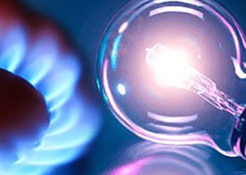 Türkiye’nin gururu iki milli boksör arasında ilginç benzerlik!