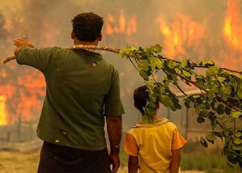 Türkiye’nin gururu iki milli boksör arasında ilginç benzerlik!