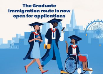 Yeni mezun vizesiyle iş piyasası desteklenecek