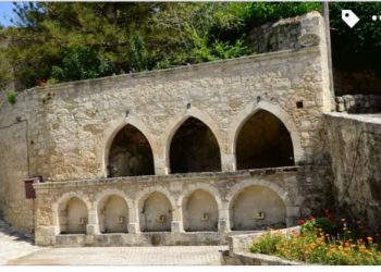 Zeytin Ağaçları – Akın Yılmaz