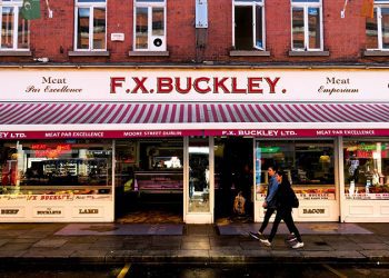 A Millî Futbol Takımı’nın, Norveç maçı 8 Ekim’de