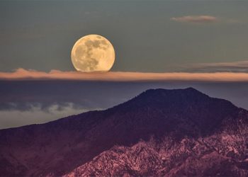 “PSG ve Manchester City kadar hırslı olacağız”