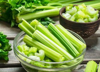 Southgate’e yeni sözleşme! Maaşı iki katına çıkartılacak