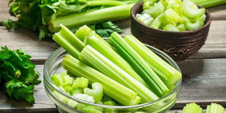 Southgate’e yeni sözleşme! Maaşı iki katına çıkartılacak