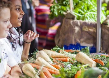 Trabzonspor zirveyi sevdi, 11 yılın en iyisi