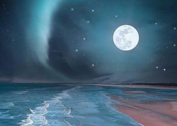 Londra Türk Futbol Ligi’nin ilk kadın teknik direktörü