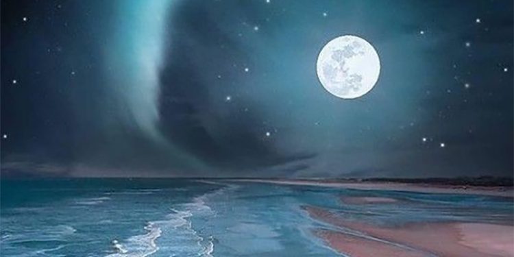 Londra Türk Futbol Ligi’nin ilk kadın teknik direktörü