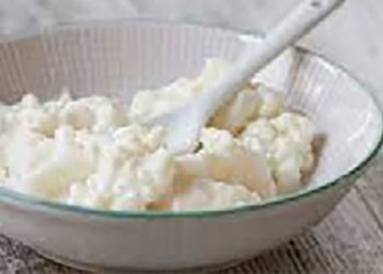 Fermantasyon Ürünlerin Hayatımızdaki Önemi