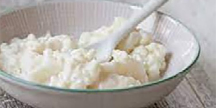 Fermantasyon Ürünlerin Hayatımızdaki Önemi