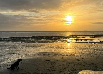 Ülkenin, Londra’ya yakın en iyi plajlarını sizin için seçtik