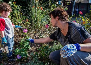 Islington’da bahçe işi sevenlere özel bir yarışma başlıyor