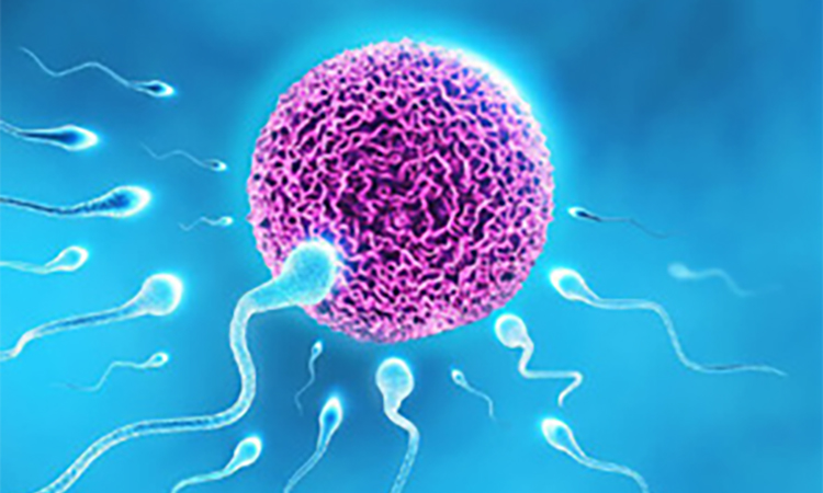 Vücutta biriken çeşitli kimyasallar sperm kalitesini düşürüyor