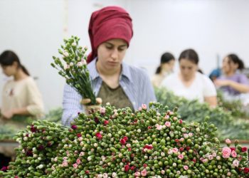 Voleybolun en büyüğü, Türkiye’de belli olacak