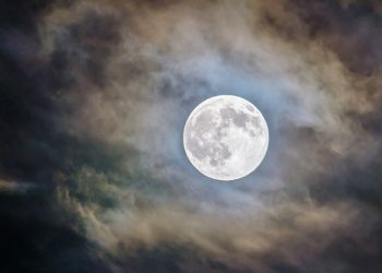 Devler arasında Haaland savaşı