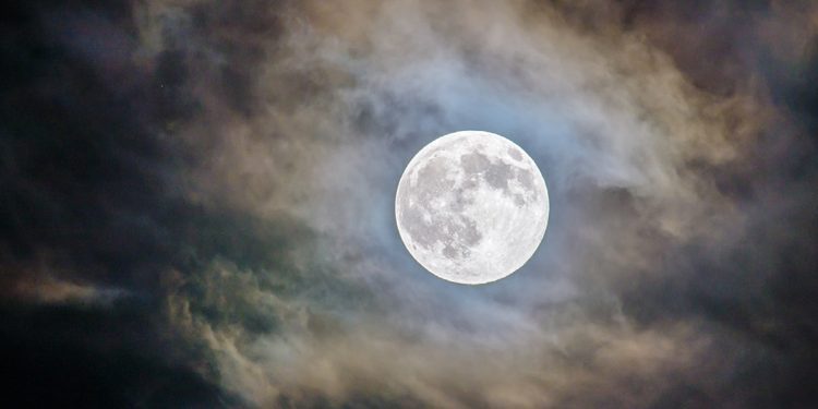 Devler arasında Haaland savaşı