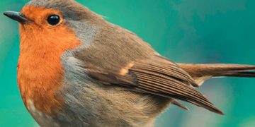 Kemal Kılıçdaroğlu, The Alan Turing Institute yöneticileriyle bir araya geldi