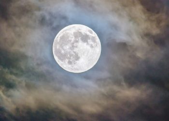 Arsenal’e kötü haber: Jesus ameliyat olacak