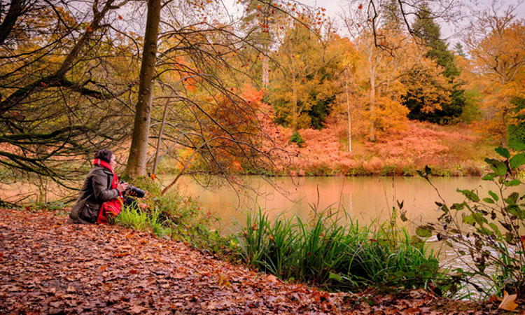 Wakehurst
