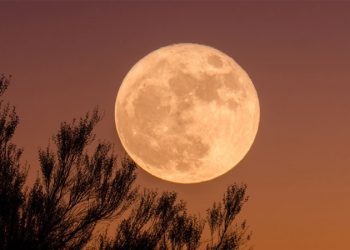 unsplash.com / Ganapathy Kumar