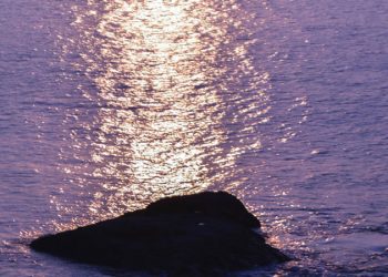 unsplash.com / Tony Sebastian