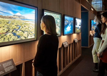 Yaban Hayatı Fotoğraf sergisi; Natural History’de