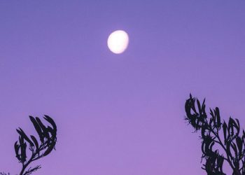 unsplash.com Yulia Gadalina