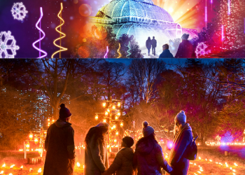 Kew’da Noel: Yeni yıla, botanik bir dünyada, büyüleyici bir merhaba!