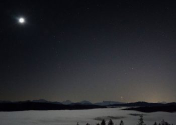 unsplash.com Sebastian Knoll