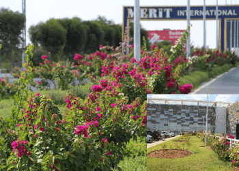 KKTC Ercan Havalimanı doğanın renklerine büründü