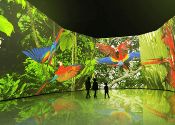 BBC Earth Experience: Dünyayı bir keşif gibi deneyimleyin