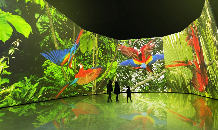 BBC Earth Experience: Dünyayı bir keşif gibi deneyimleyin
