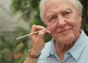 Yeni Sir David Attenborough, Madame Tussauds’da