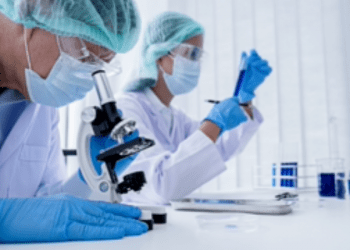 İngiltere’de veteriner antibiyotiklerinin satışı rekor düşüşte