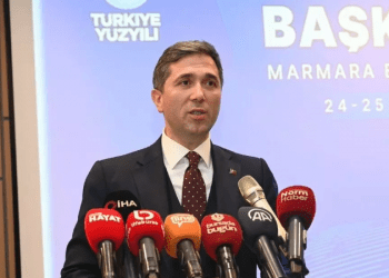 Türkiye’den, yurt dışında yaşayan Türk toplumuna 2024 müjdeleri geldi