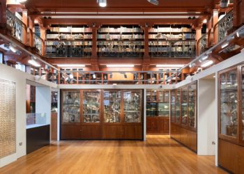 Londra’nın sevilen Grant Zooloji Müzesi, 6 Şubat’ta açılıyor