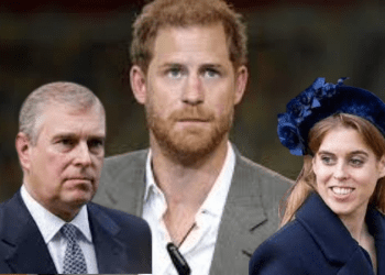 Gizli Karar: Andrew, Harry ve Beatrice devlet danışmanlığı yapmayacak