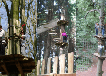 Go Ape: Şehrin içinde, ağaçların üstünde bir orman macerası